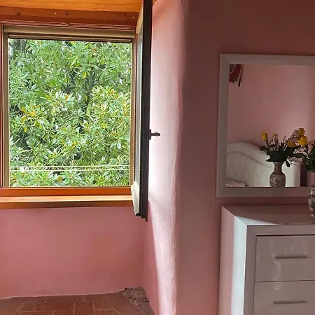 Apartment Paradise