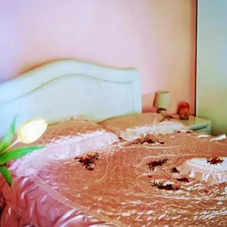 公寓 Paradise 罗卡斯特拉达