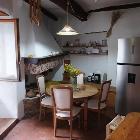 Paradise Apartment